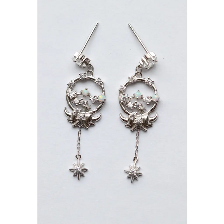 Horoscope Earrings - Earrings - 12